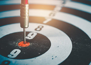 Profil professionnel en CV