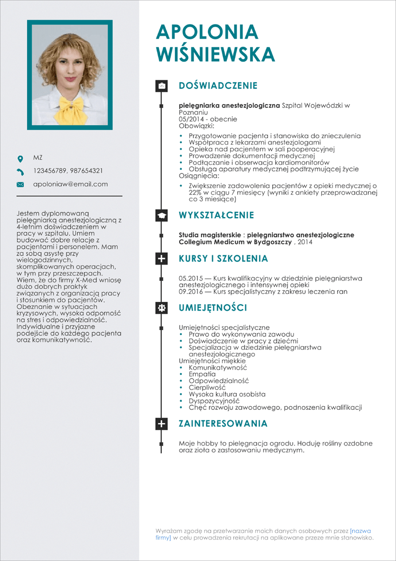 modèle de cv pdf