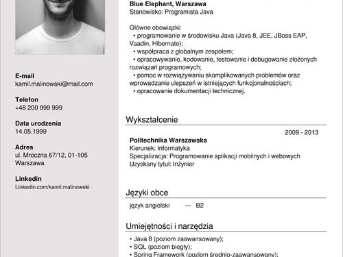 Un curriculum vitae d'un informaticien d'un programmeur de modèles expérimenté