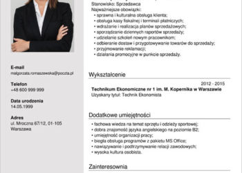 Modèle de CV de vendeur