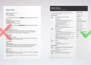 modèle de cv à remplir sans photo