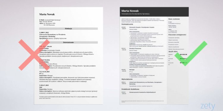 modèle de cv à remplir sans photo