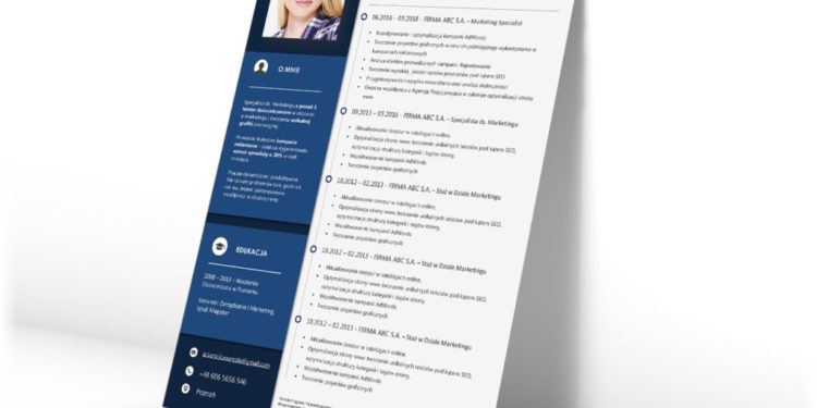 Modèle de CV professionnel