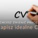 Idealne CV