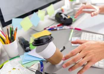 Dans quel programme dois-je rédiger mon CV ?