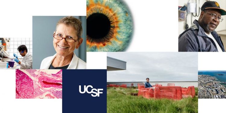 Exemples de matériel pour les postes du corps professoral