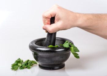 Exemples d'intérêt pour CV - cuisine et autres intéressants