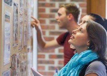 Job d'été pour les jeunes, ou ce qu'il faut savoir pour le trouver