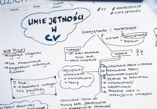 Quelles compétences inscrire dans le CV.  Exemples et description des compétences les plus importantes pour un CV.