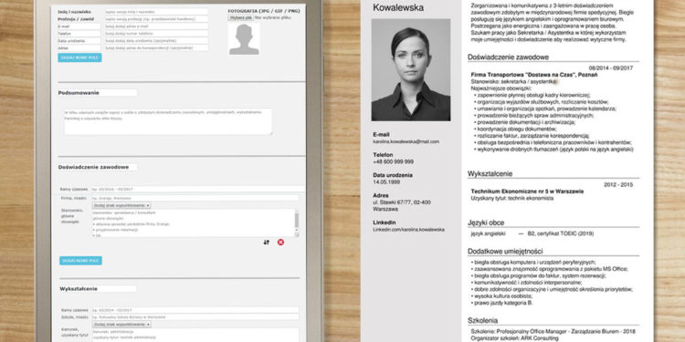 CV vierge à remplir - assistant gratuit