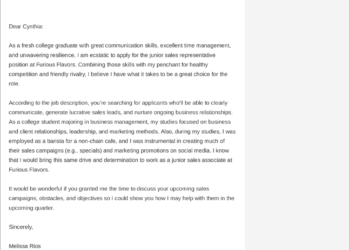 exemple de CV d'entrée de gamme