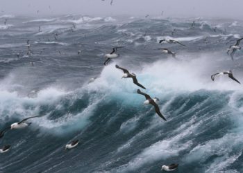 Rédaction d'une lettre de motivation de stage (avec exemples)