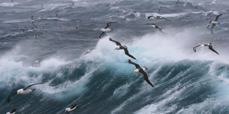 Rédaction d'une lettre de motivation de stage (avec exemples)